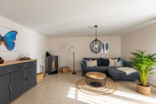 Amazing, neat suite in nice area