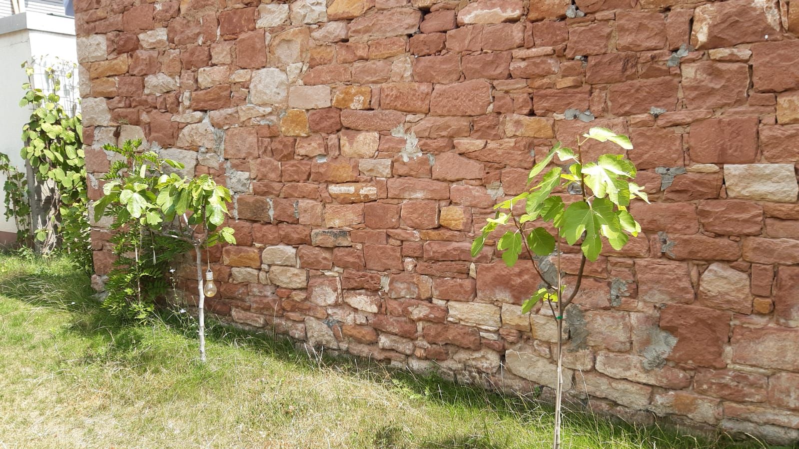  House And Garden  -  House and Garden  - Gallery -  2