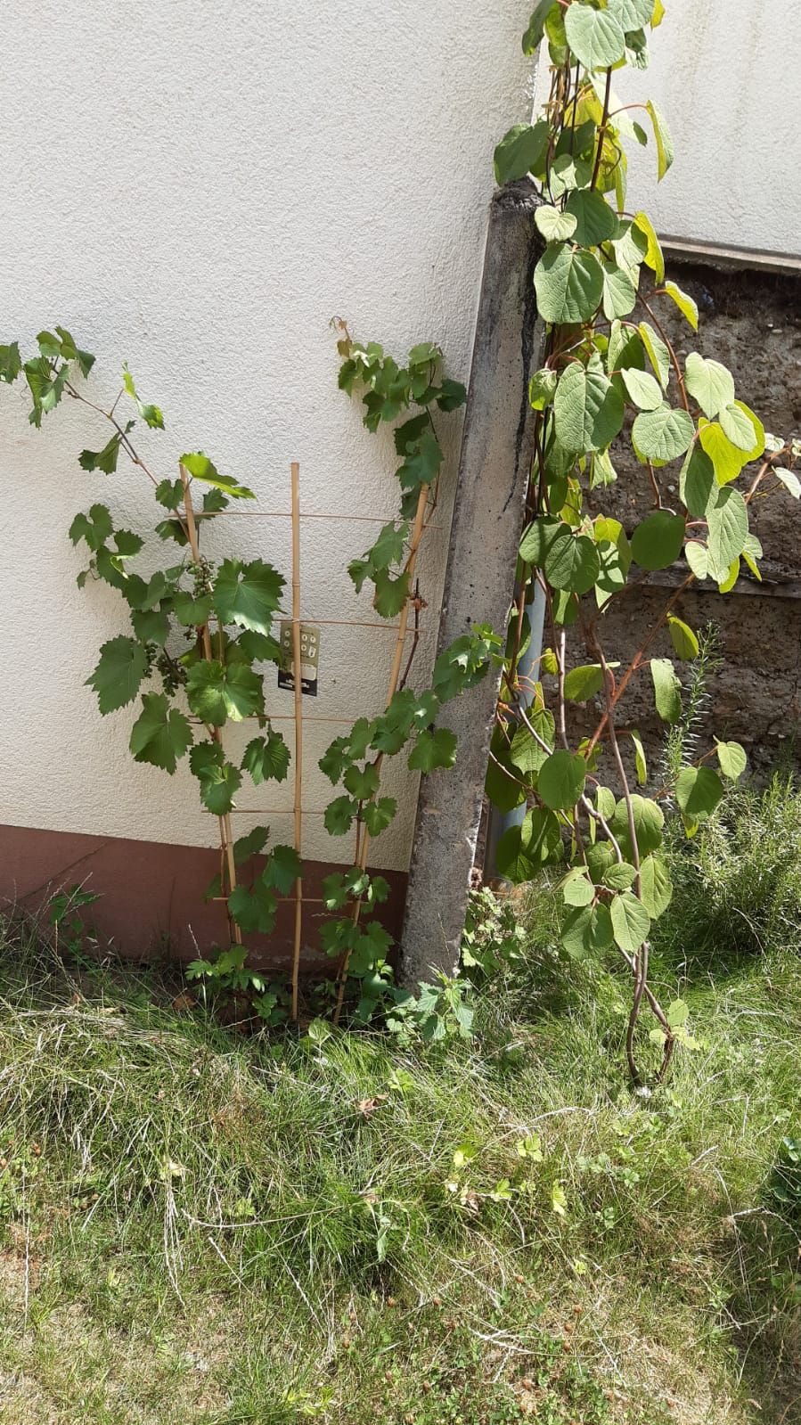  House And Garden  -  House and Garden  - Gallery -  3