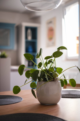 Apartment at Kupark Bad Ems - Gallery - 20