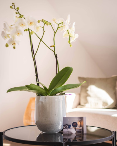 Apartment at Kupark Bad Ems - Gallery - 23