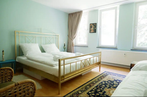 Wohnung in Gründerzeitvilla - zentral am Schloss - Gallery - 8
