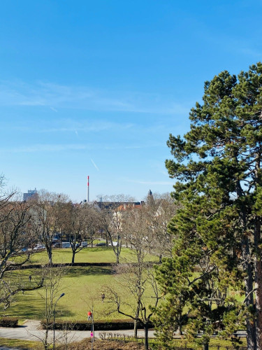 Charming & fantastic studio (Offenbach am Main)