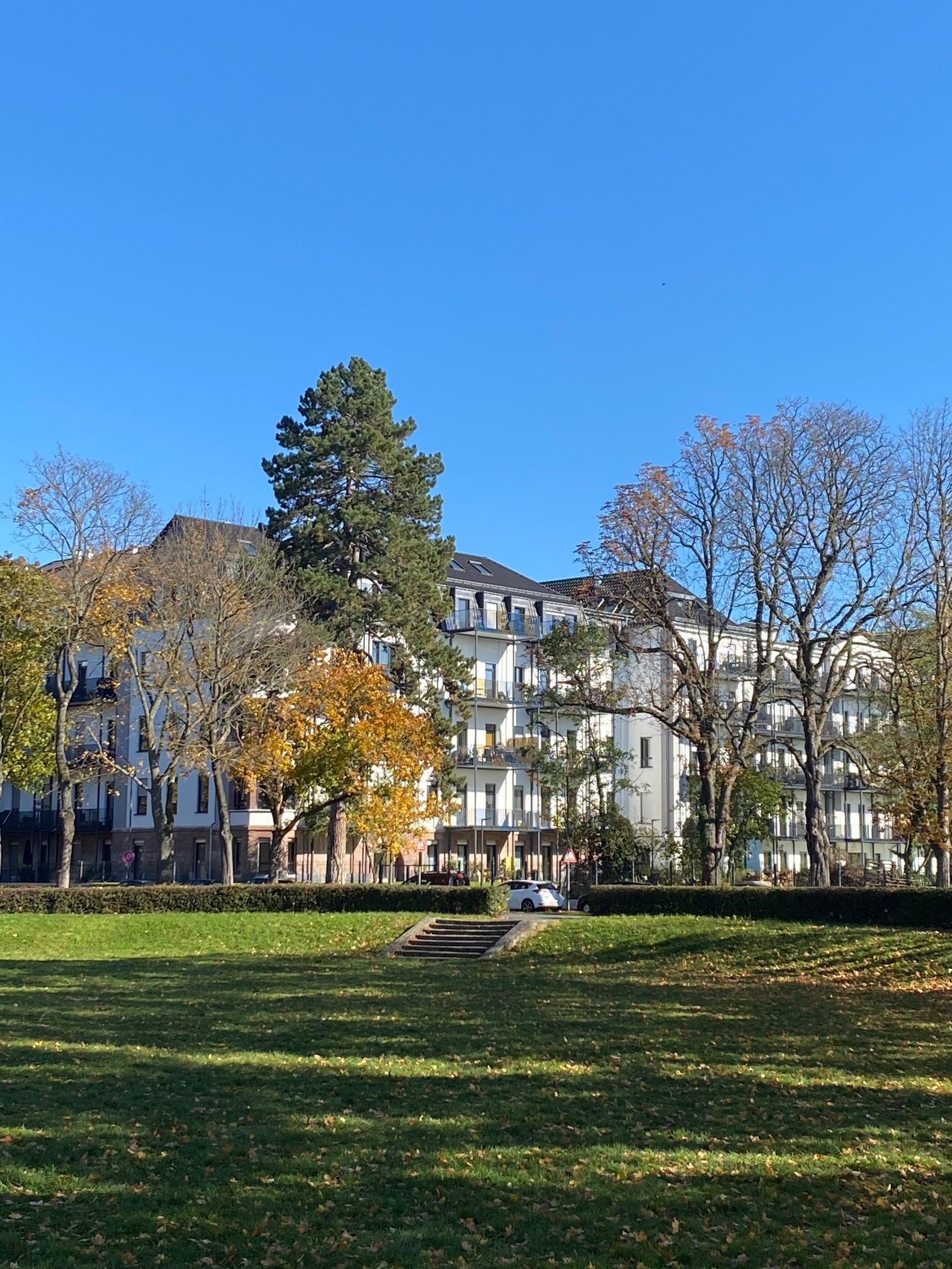 Charming & Fantastic Studio (Offenbach Am Main) - 1