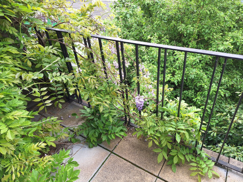 Pretty, charming loft in Krefeld