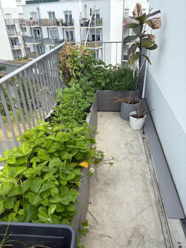 Penthouse Apartment by the Lahn River – Large Roof Terrace & Underground Parking  - Gallery -  5