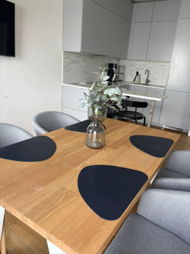 Penthouse Apartment by the Lahn River – Large Roof Terrace & Underground Parking