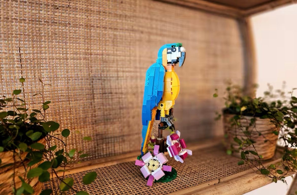  Ara - Large Terrace, BBQ, Kicker, PS4+Streaming  -  Ara - Large Terrace, BBQ, Kicker, PS4+Streaming  - Gallery -  2