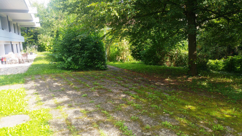 Geräumiges Appartment in zentraler Lage inkl.Parkplatz