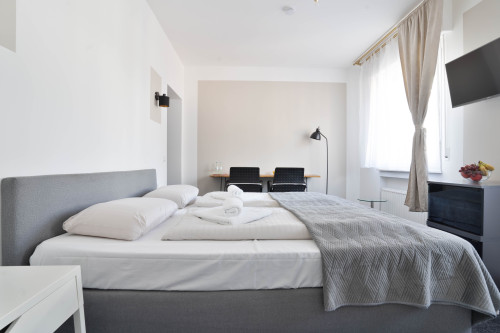 Amazing queensize bed studio in Bonn | kitchen | TV | Wi-Fi - Gallery - 13