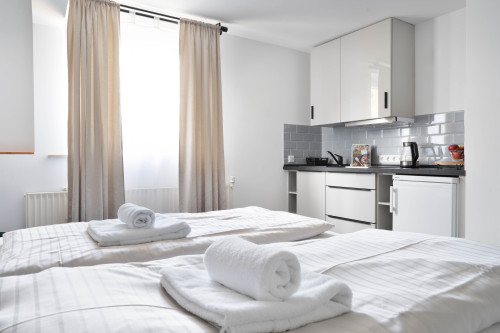 Amazing queensize bed studio in Bonn | kitchen | TV | Wi-Fi - Gallery - 17