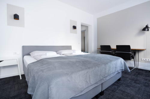 Amazing queensize bed studio in Bonn | kitchen | TV | Wi-Fi - Gallery - 22