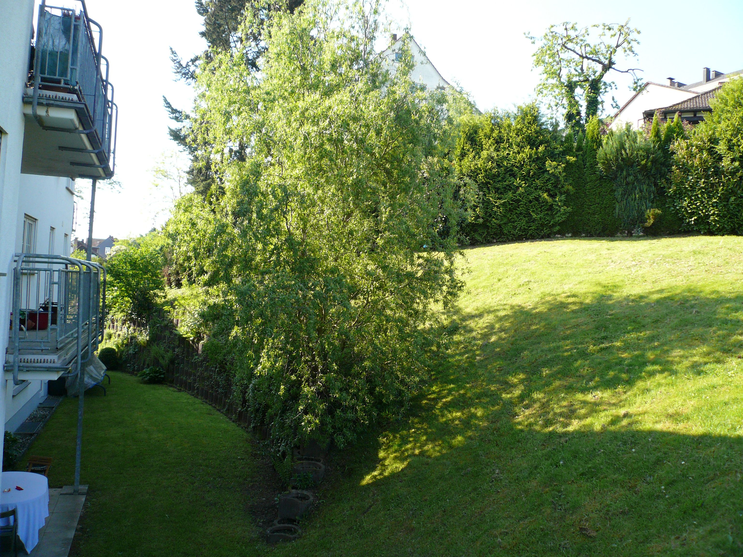  VOLL MÖBLIERTES APARTMENT NAHE STADTMITTE MARBURG  -  VOLL MÖBLIERTES APARTMENT NAHE STADTMITTE MARBURG  - Gallery -  7