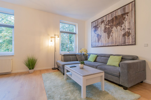 Spacious loft in Zwickau