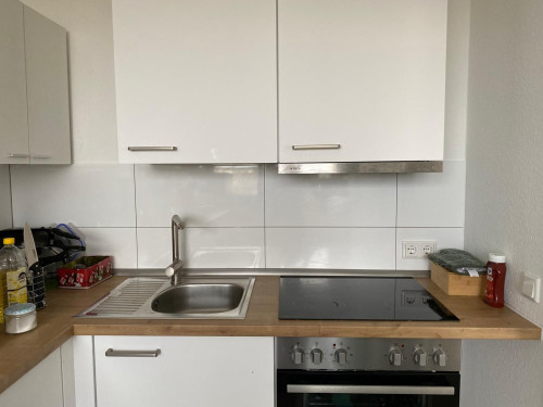 Beautiful apartment in Offenbach am Main next to river main