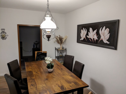 Spacious house with perfect connection to Frankfurt am Main - Gallery - 18