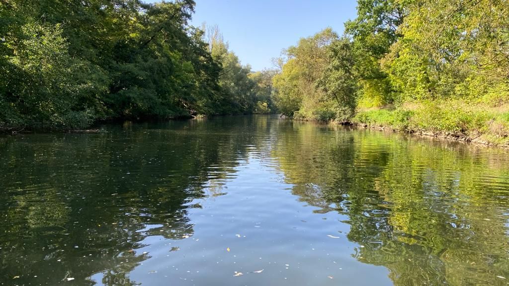  Great Suite With Nice City View  -  Great suite with nice city view  - Gallery -  2