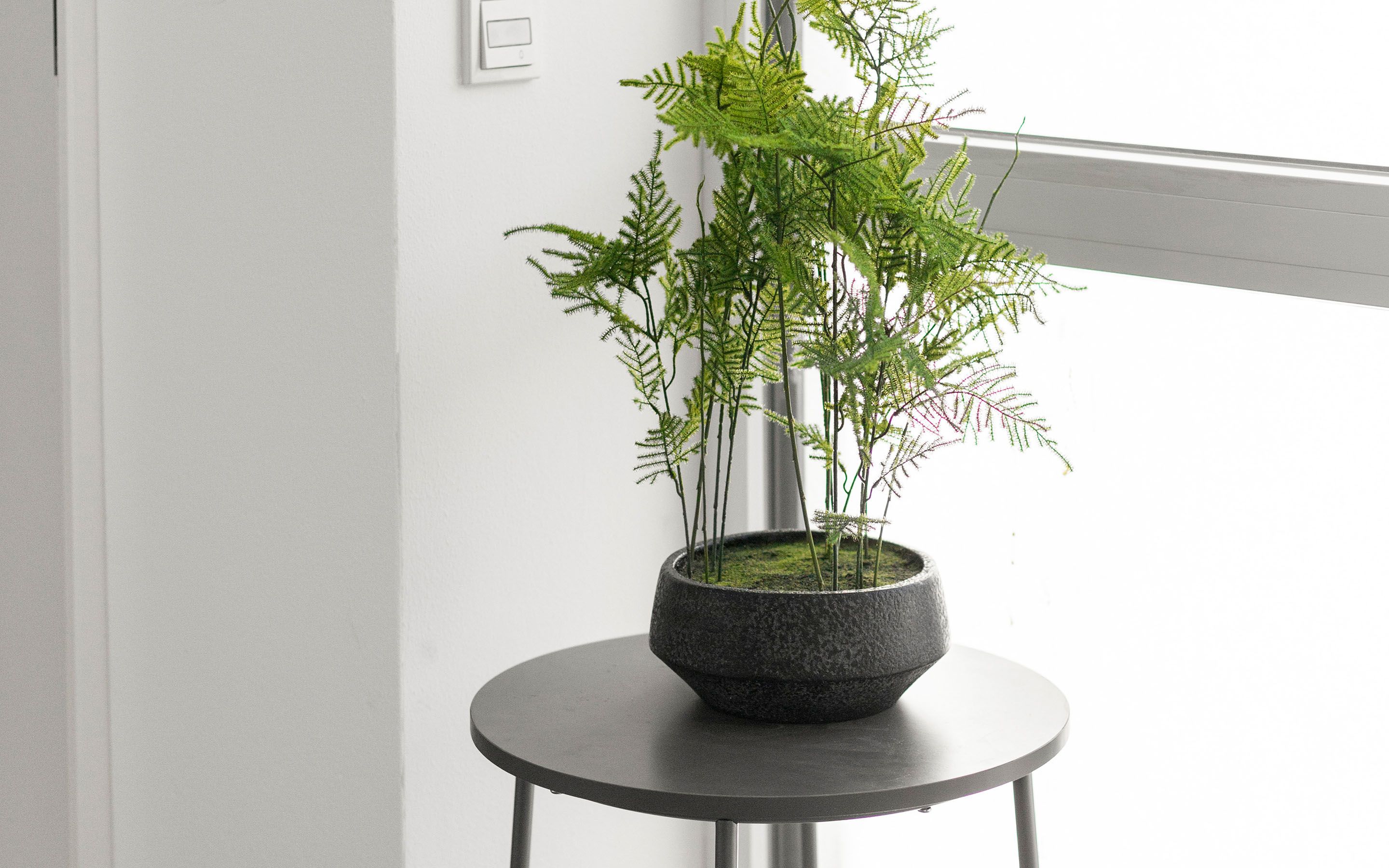  LiT LiVING: Luxus | Box SprIng | Parking | Garden  -  LiT LiVING: Luxus | Box SprIng | Parking | Garden  - Gallery -  3
