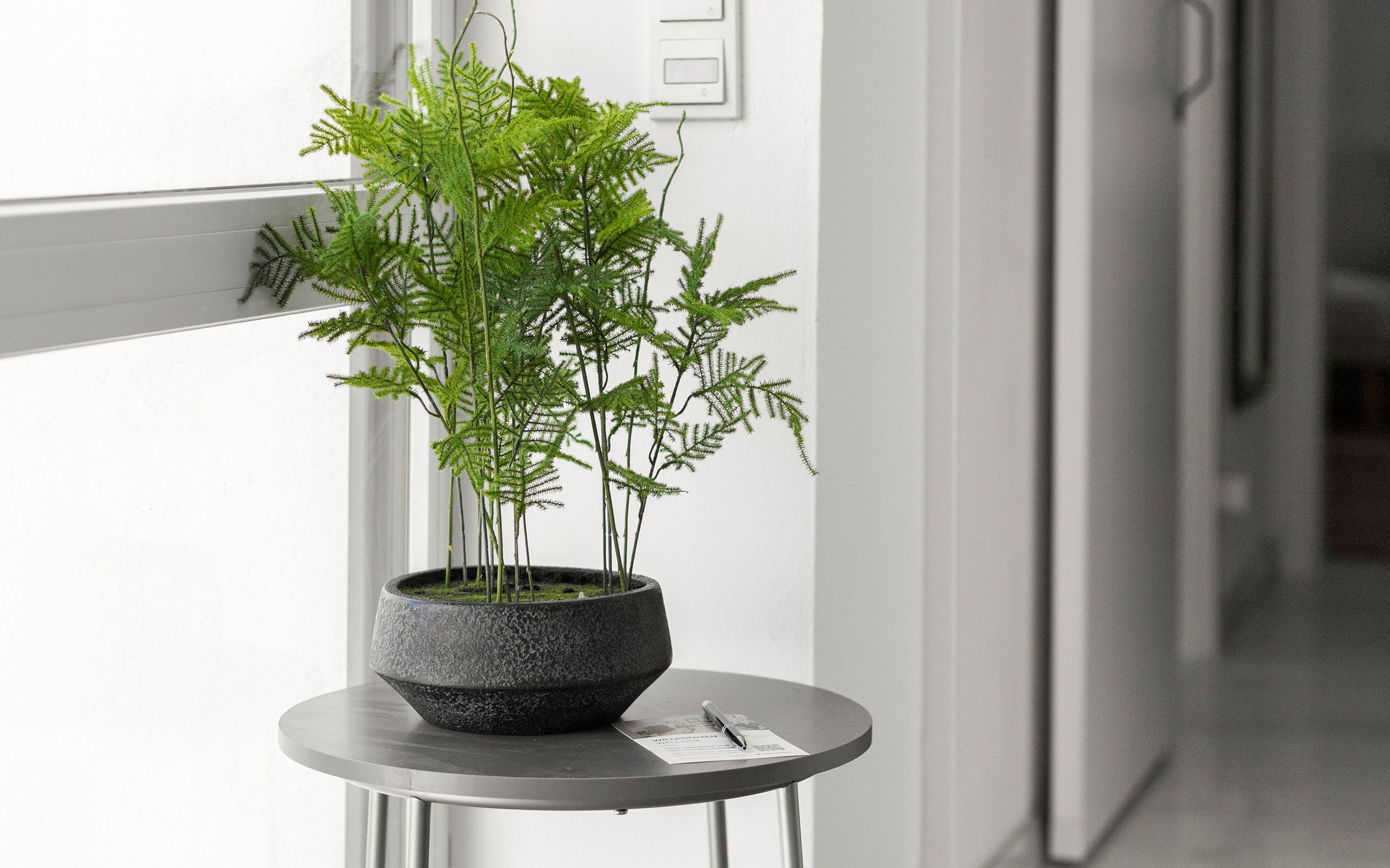  LiT LiVING: Luxus | Box SprIng | Parking | Garden  -  LiT LiVING: Luxus | Box SprIng | Parking | Garden  - Gallery -  2