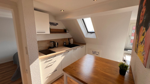 Spacious & modern flat in Aschaffenburg - Gallery - 26