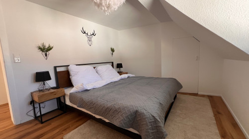 Spacious & modern flat in Aschaffenburg