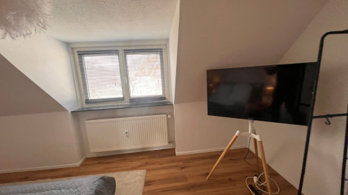 Spacious & modern flat in Aschaffenburg - Gallery - 8