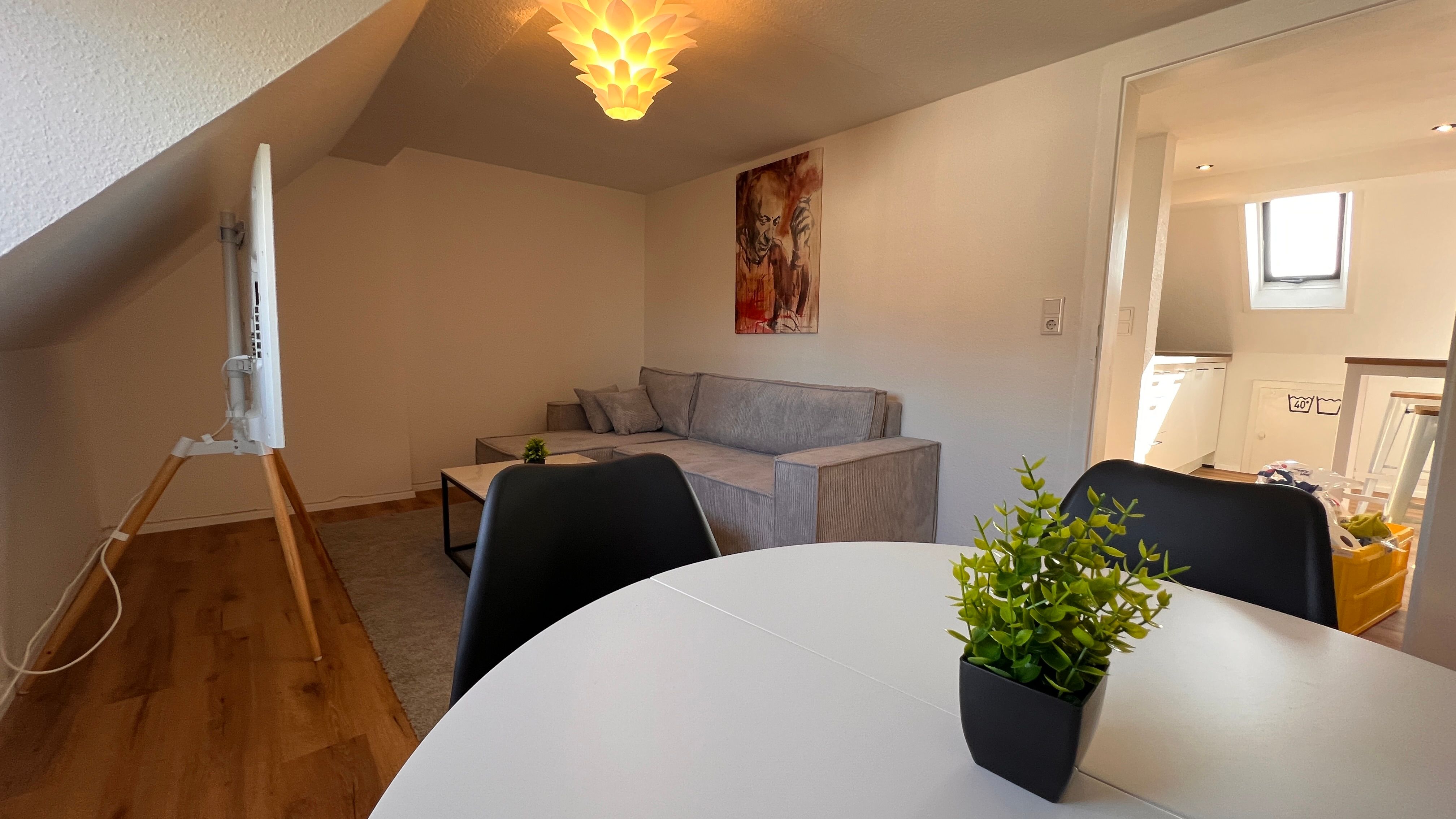 Spacious & Modern Flat In Aschaffenburg - 14