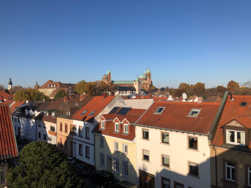 Perfect, beautiful flat in Speyer  - Gallery -  5