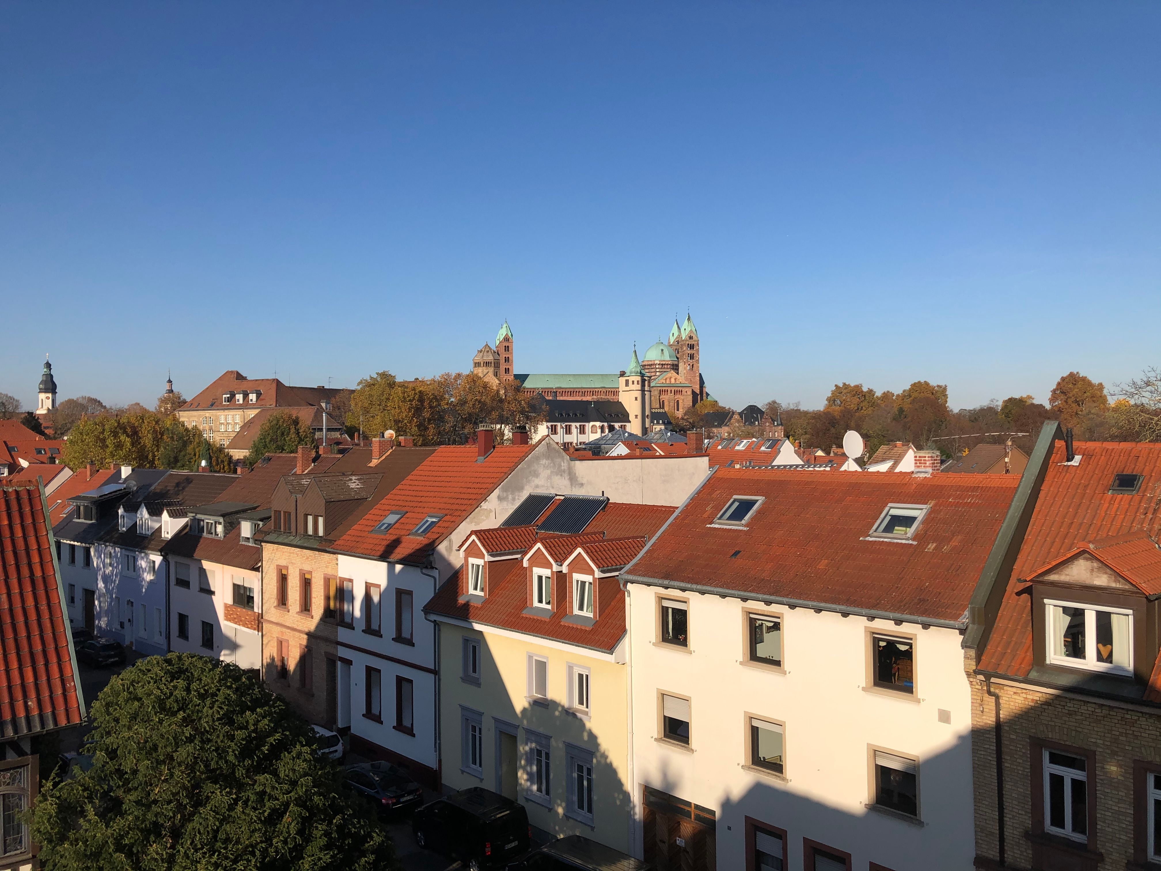  Perfect, Beautiful Flat In Speyer  -  Perfect, beautiful flat in Speyer  - Gallery -  4