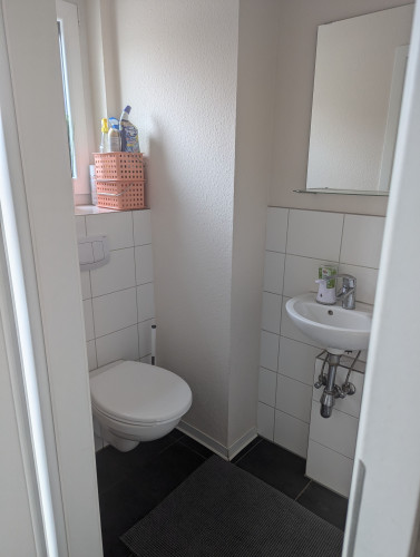 Nice home (Heidelberg)
