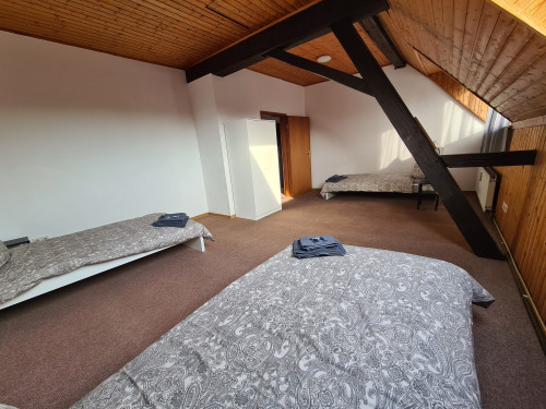 Large house on 2 floors for up to 12 people in Alzey - Gallery - 15