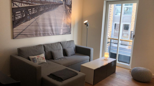Luxurious Apartment in the heart of Düsseldorf