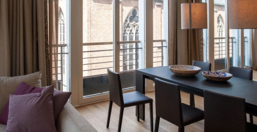 Tastefully furnished apartment incl. Gym, only 5 minutes from the Rhine River