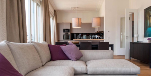 Tastefully furnished apartment incl. Gym, only 5 minutes from the Rhine River