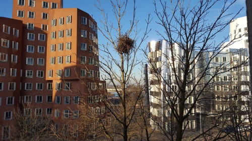 Pretty and fantastic suite with nice neighbours