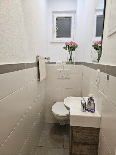 Amazing & spacious apartment in Nürnberg