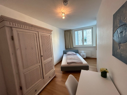 Traumhafte Wohnung mit TG-Stellplatz - Gallery - 27