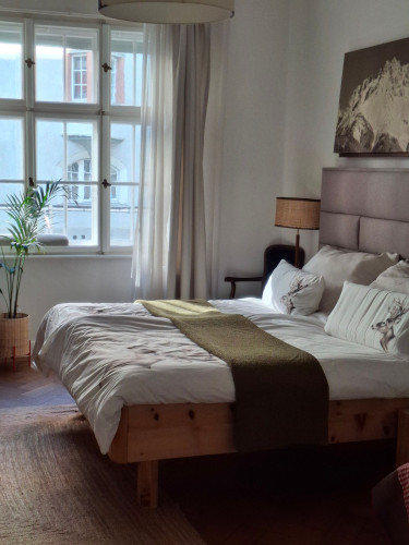 Living with a cat in the heart of Schwabing