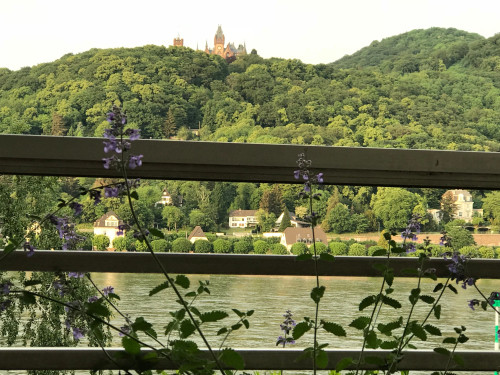 Neat, lovely flat in Bonn