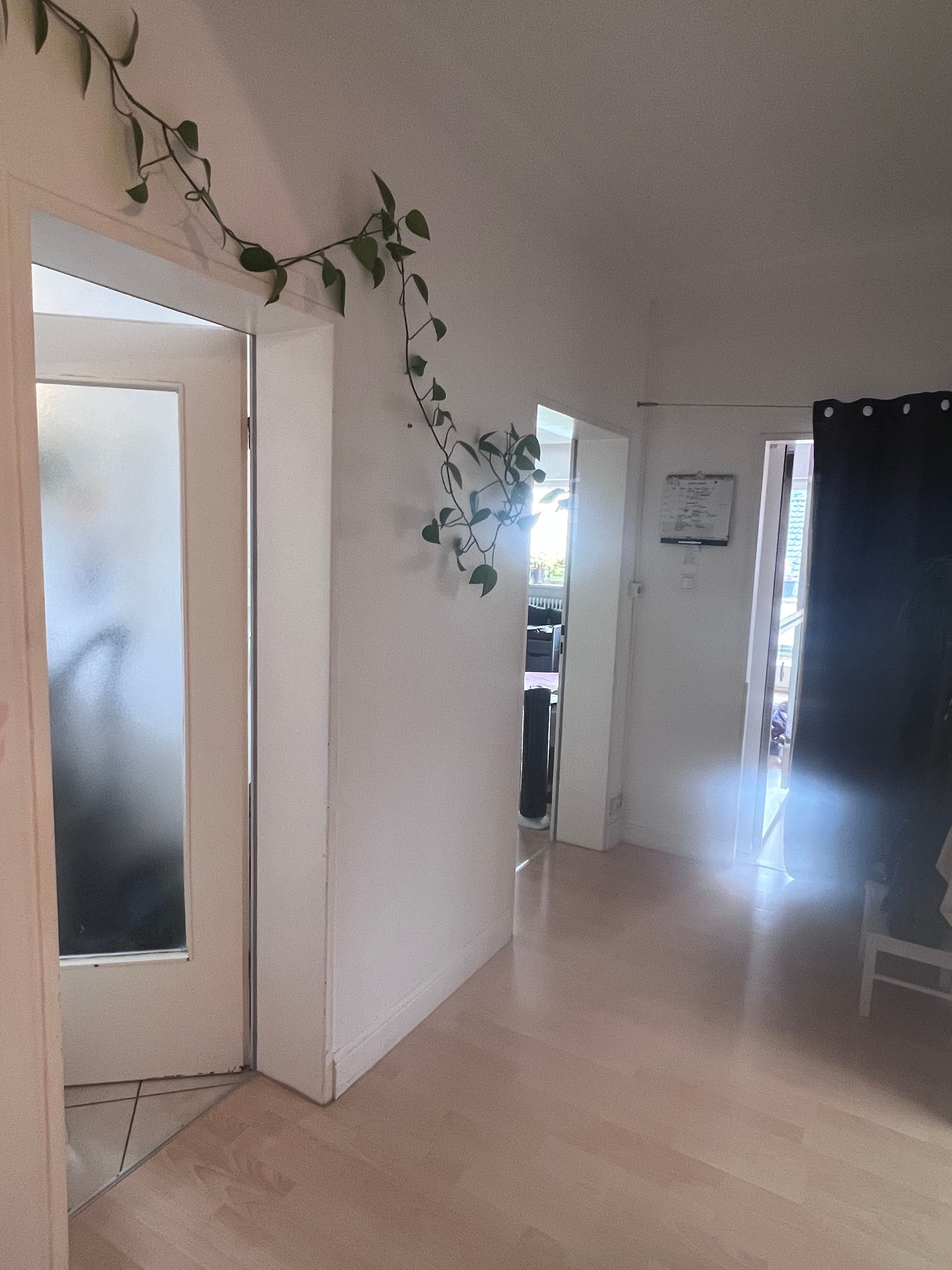  Gorgeous And Wonderful Flat In München  -  Gorgeous and wonderful flat in München  - Gallery -  4