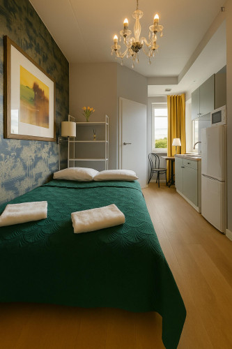 Sublime studio near Medical University of Warsaw