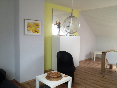 Perfect, beautiful apartment (Saarbrücken)near by university and city center