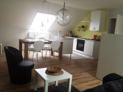 Perfect, beautiful apartment (Saarbrücken)near by university and city center
