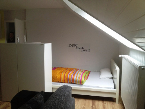 Perfect, beautiful apartment (Saarbrücken)near by university and city center