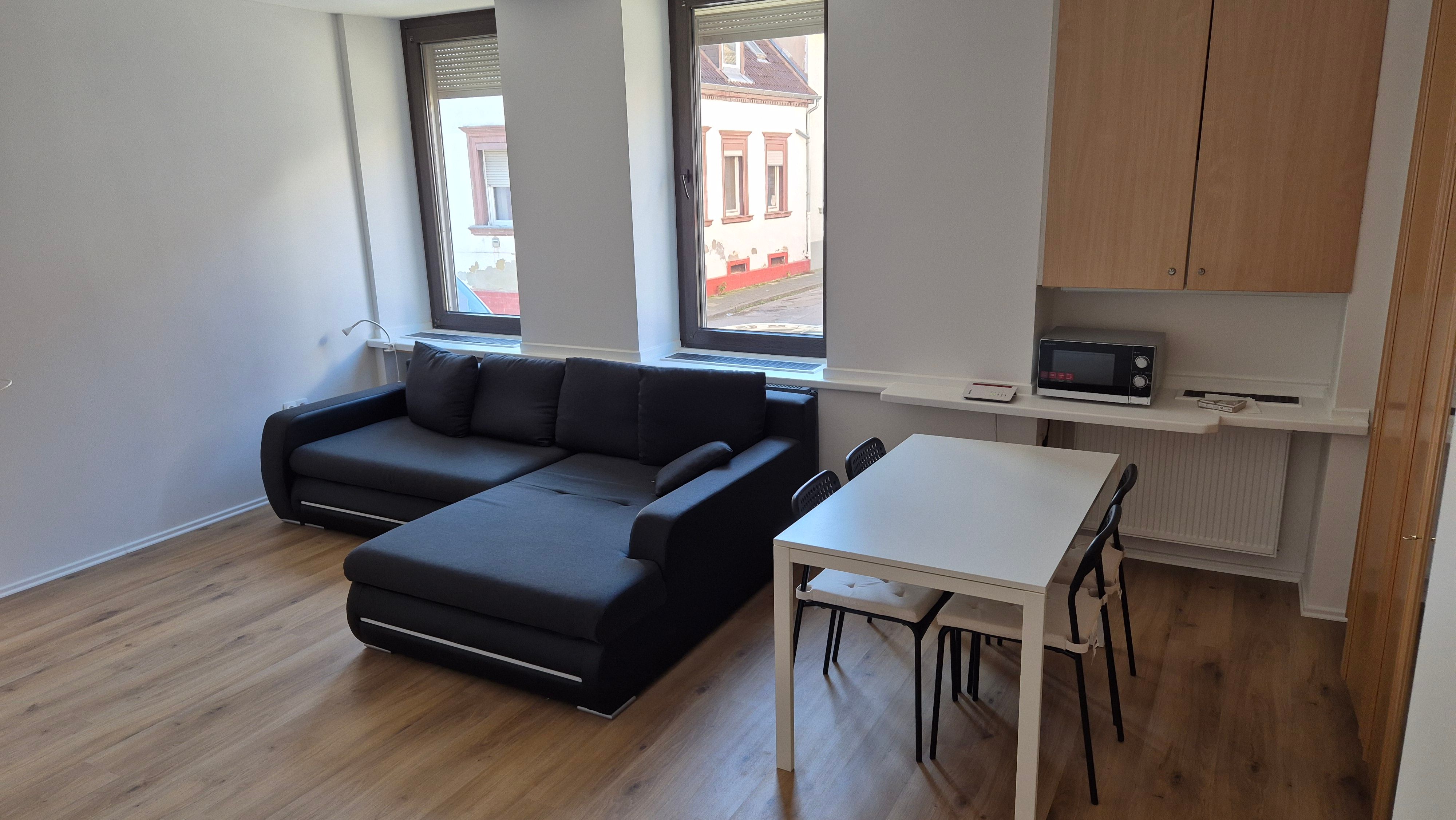 Newly Renovated Apartment Near City - 2