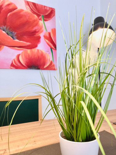 SaarPartment ...living in Style in Saarbrücken, near congress center