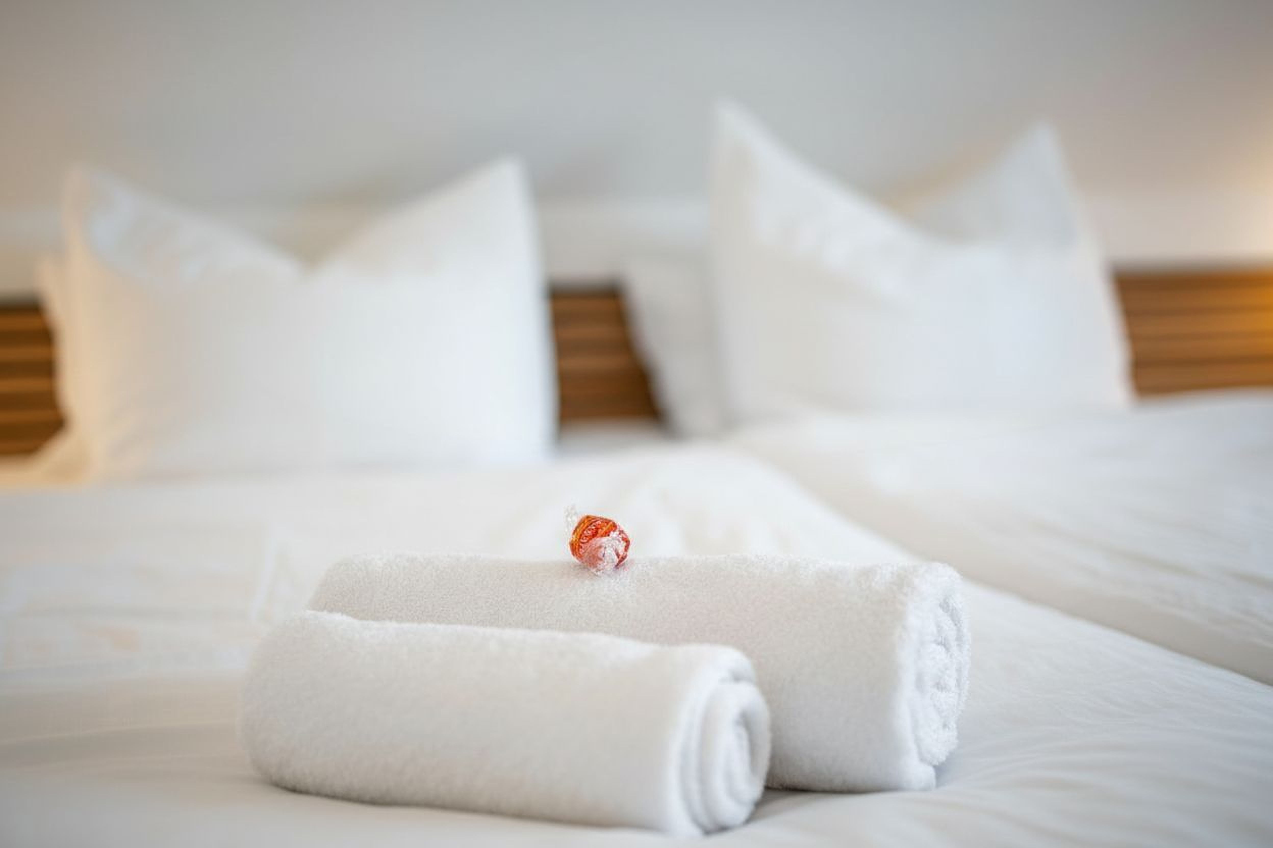  [FURNISHED] 2-Room Apartment From October 2026 To March 2027 ALL INCLUSIVE  -  [FURNISHED] 2-room apartment from October 2026 to March 2027 ALL INCLUSIVE  - Gallery -  1