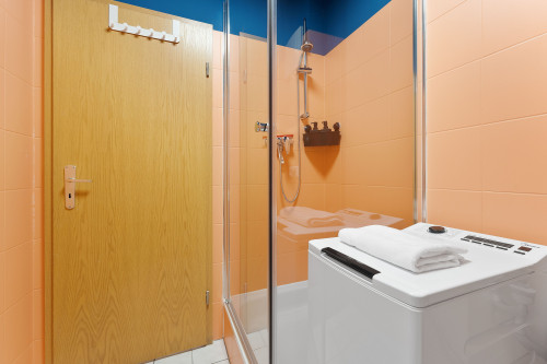 Great & fantastic suite (Cottbus) - Gallery - 8