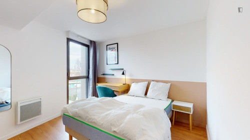 Pleasant double bedroom in Gare St Jean