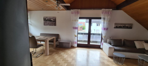 Spacious & beautiful apartment in Weiterstadt - Gallery - 14